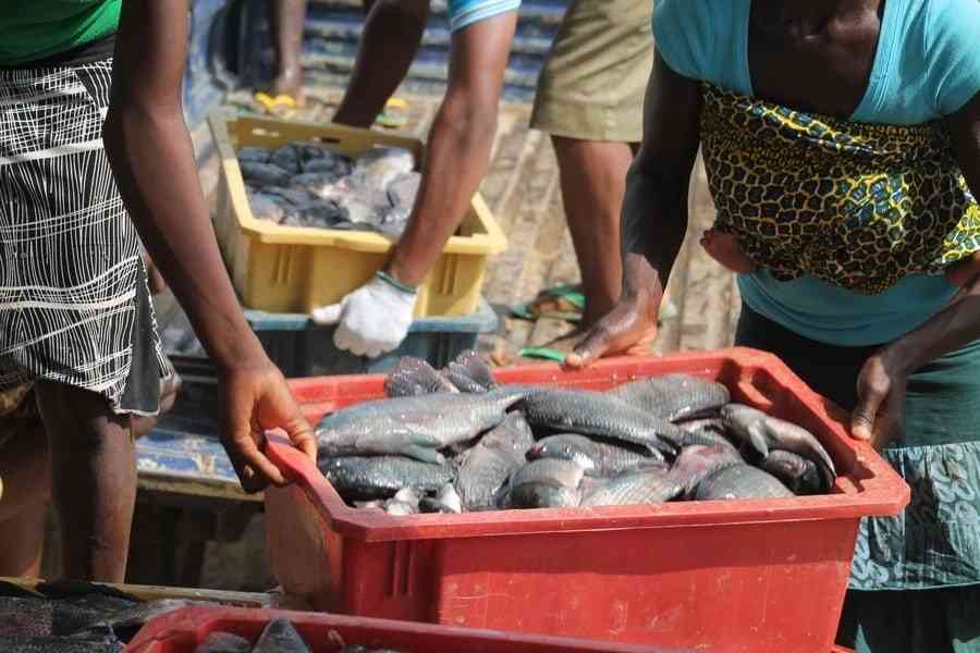 BMUs and cooperatives