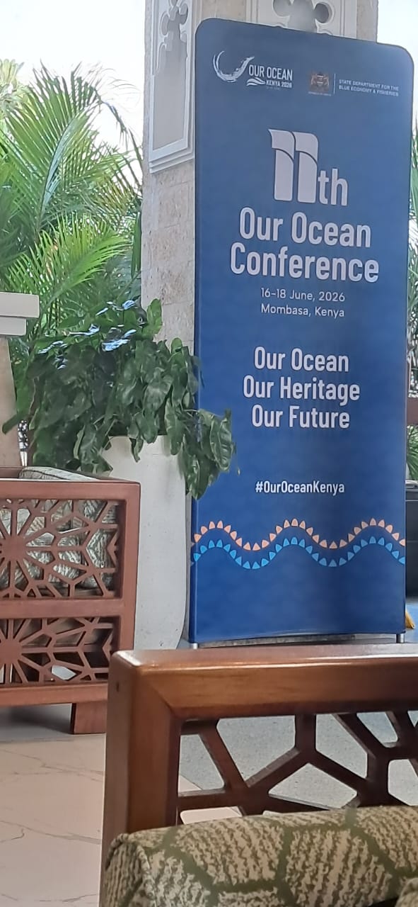 OOC11 Conference