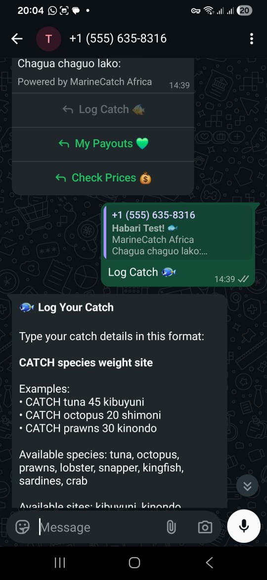 Fisher logging catch via WhatsApp